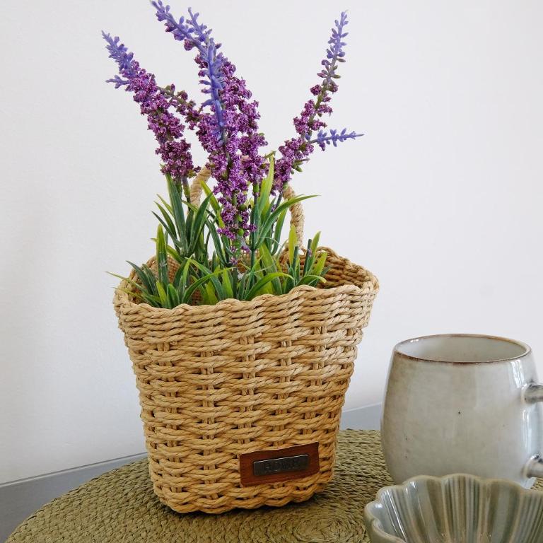 Aqua St Regis view - Apartman sa 1 Spavaćom Sobom - 14