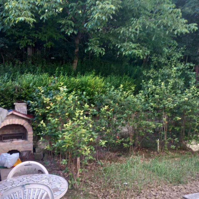 Apartman Turkana 2 - Apartman - Prizemlje - 15