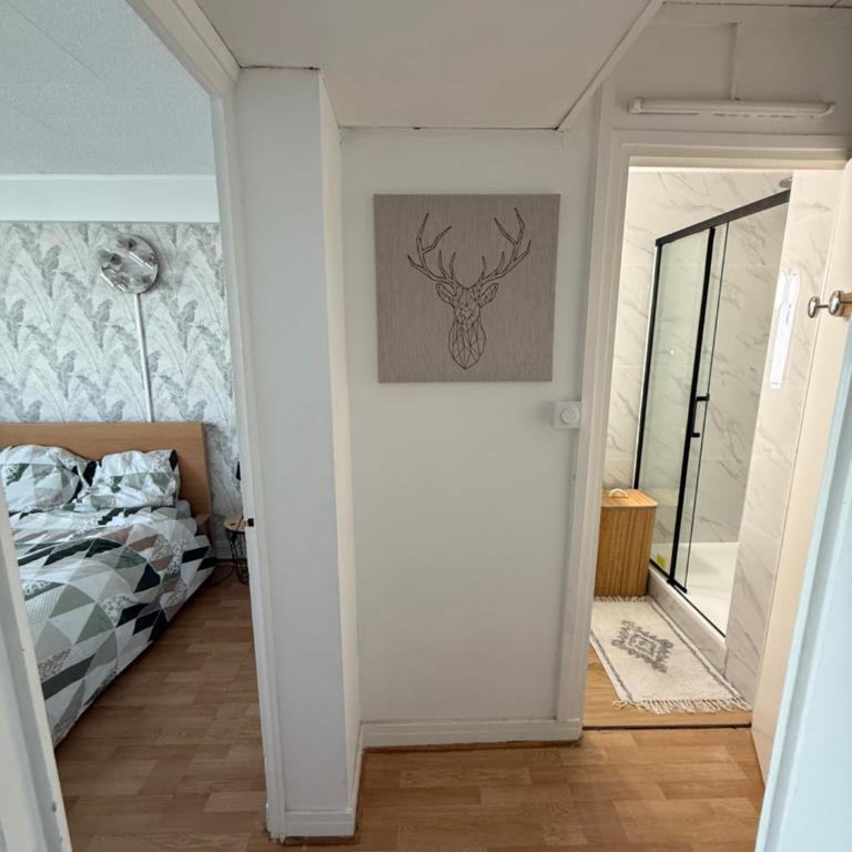 superbe duplex avec parking gratuit - Appartement 2 Chambres - 15