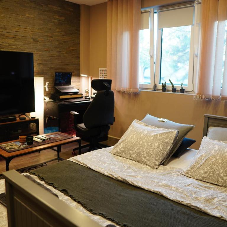 Amazonka - Studio Apartman - 1