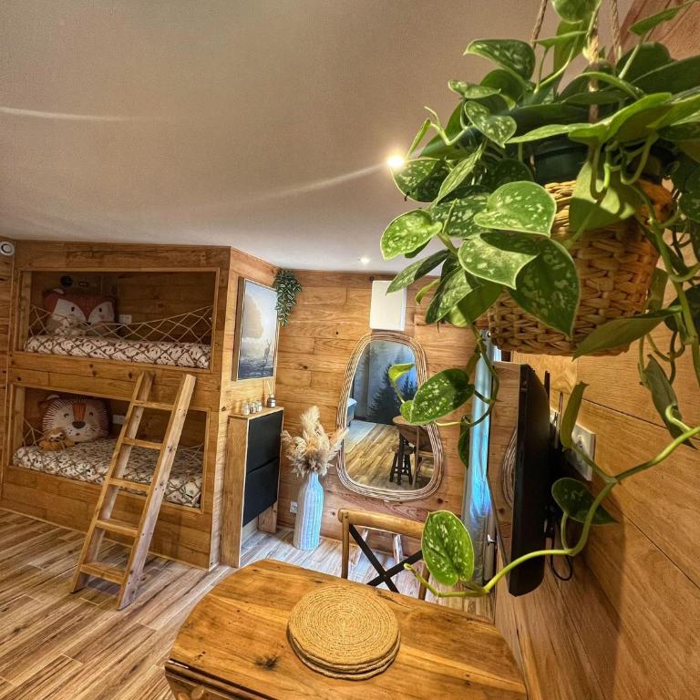 Essencia, gîte dans les collines de Toulon - Camera Matrimoniale con Bagno Privato - 10
