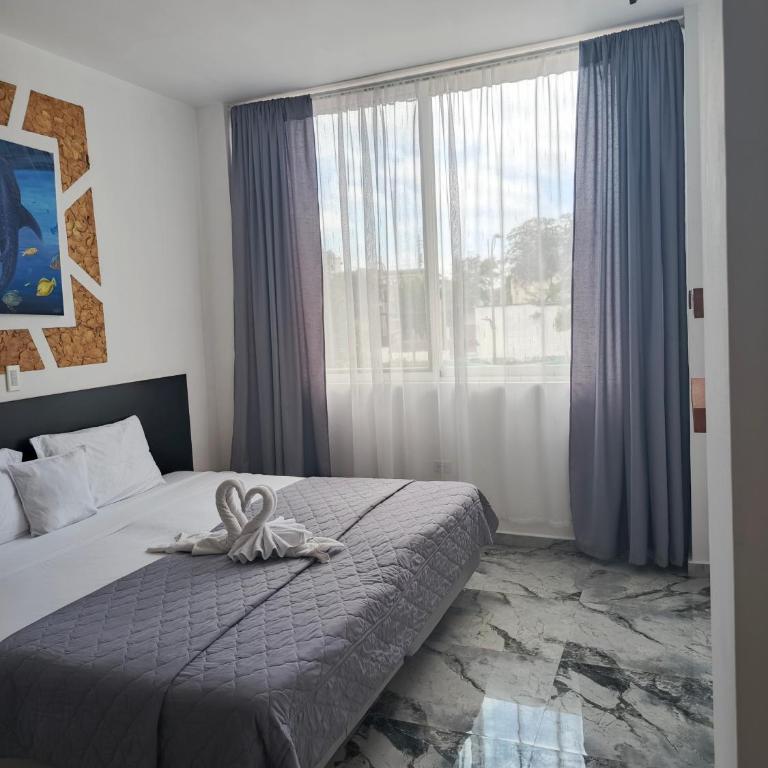 Patty House Galapagos - Standard Double Room - 1