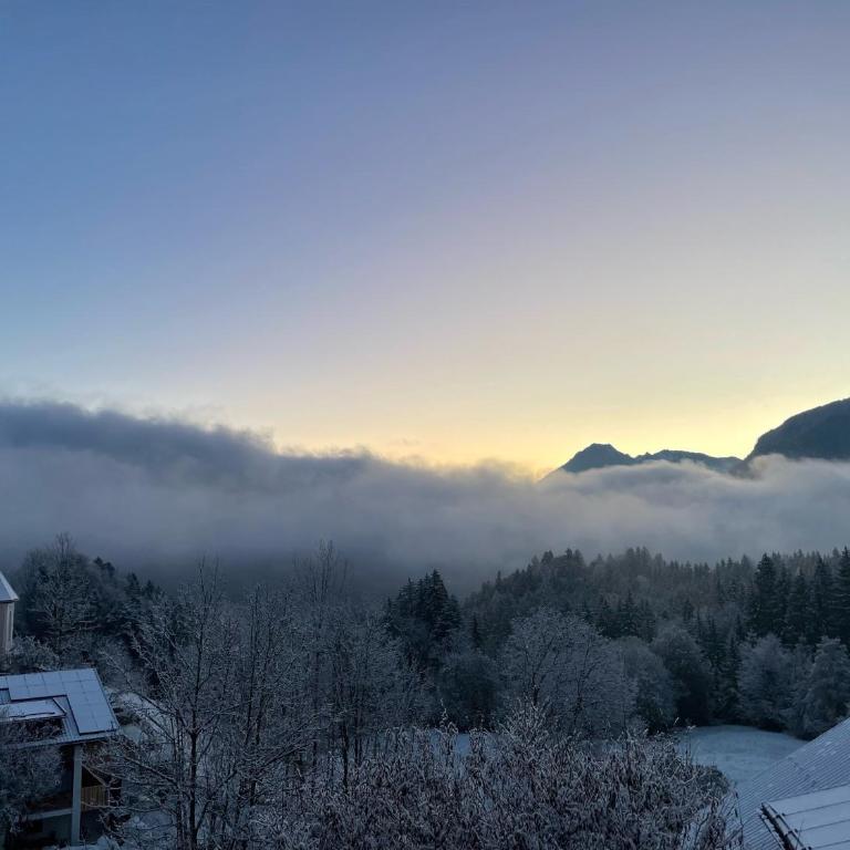 Rosa Alpina Appartement - Two-Bedroom Apartment with Mountain View - 32