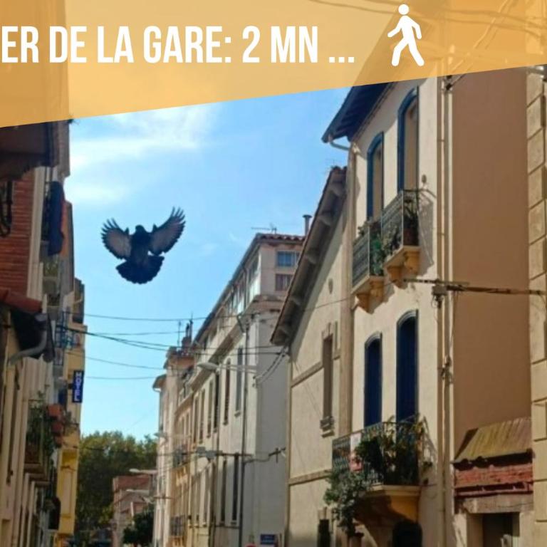 Le Cosy Perpignan Centre, 2 rooms, 2 bathrooms, free WIFI, free parking, lift, central, renovated, spacious - Appartamento con 2 Camere da Letto - 36