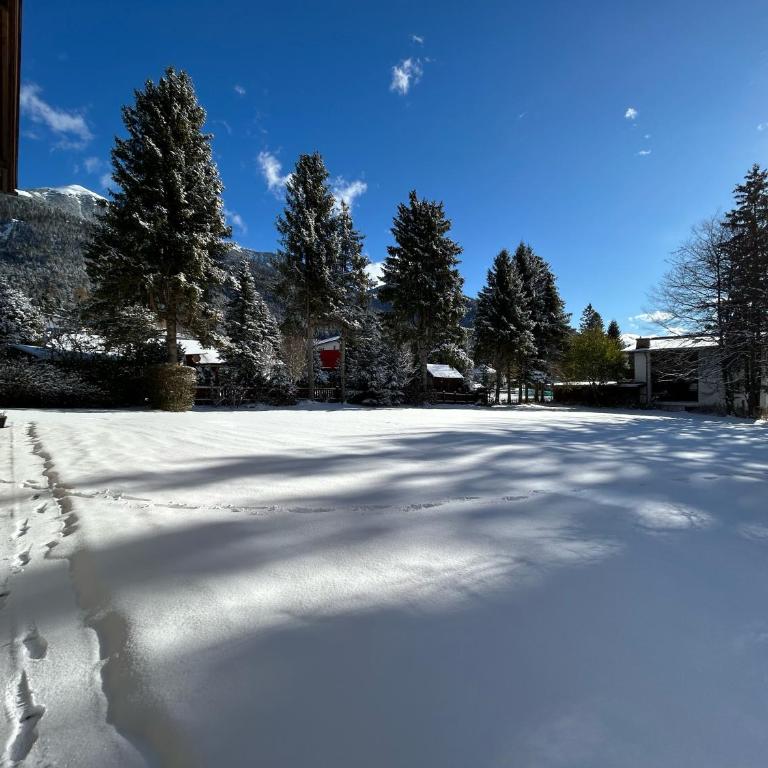 WALDNEST - Apartment Seefeld - Studio-Apartment - 16