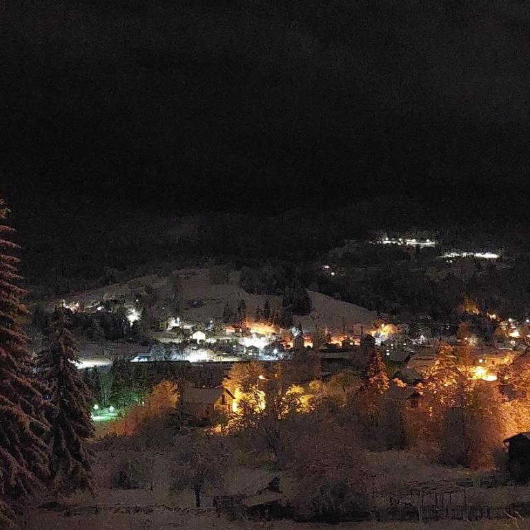 Kuća za odmor Pale - Jahorina - Two-Bedroom Apartment - 13