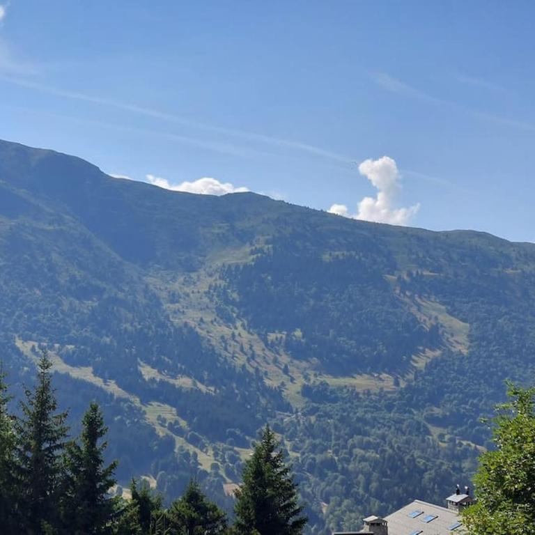 L'appart de charme et skis aux pieds à Méribel - Appartement 1 Chambre - 8