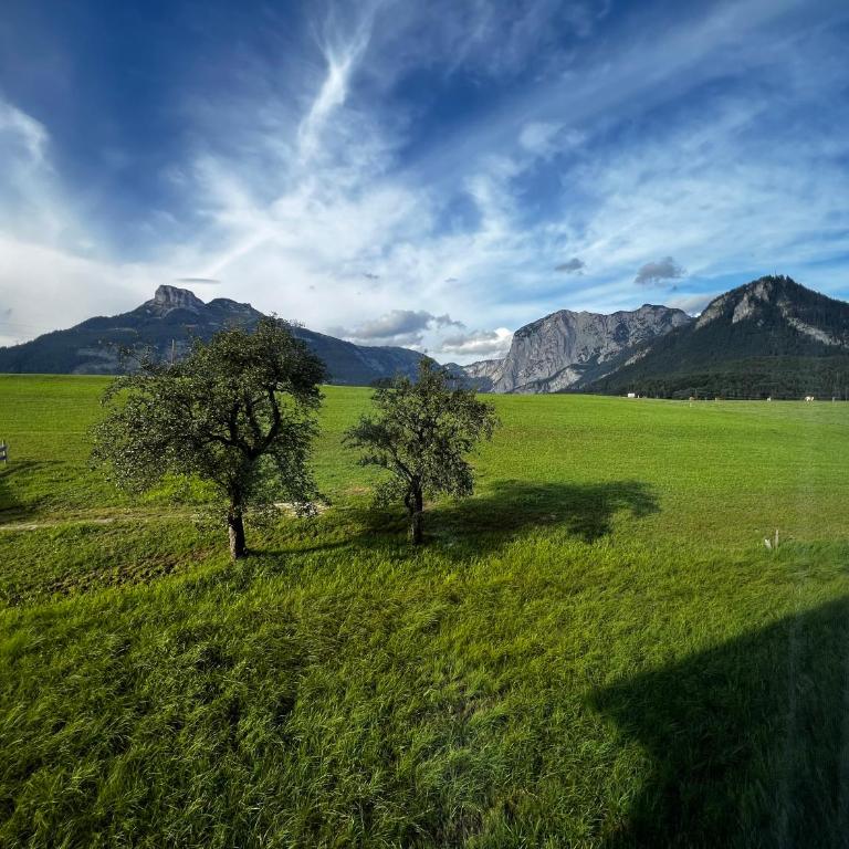 GAMSBLICK - Traumhaftes Bergpanorama, Parkplatz & Pool - Apartment mit 1 Schlafzimmer - 12