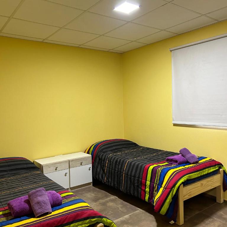 Departamento G - Apartamento de 3 dormitorios - 6