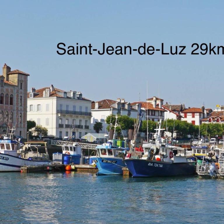 BaskoParadis I Apt I Central I Calme I Lumineux I Lit 160 I Terrasse I Jardin - Appartement Deluxe - 20