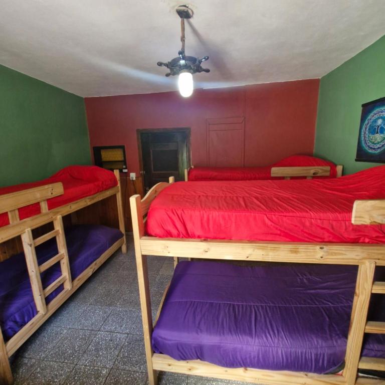 El Caminante Hostel - Cama individual en habitación compartida - 18