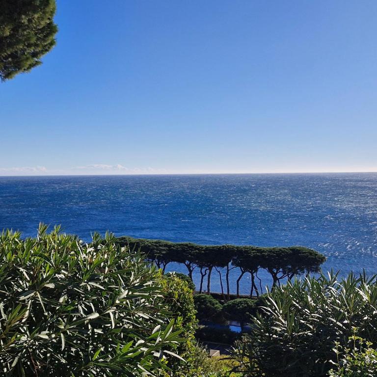 Appartement 2 pièces avec vue mer et garage à Sainte-Maxime - FR-1-780-71 - Apartamento - 5
