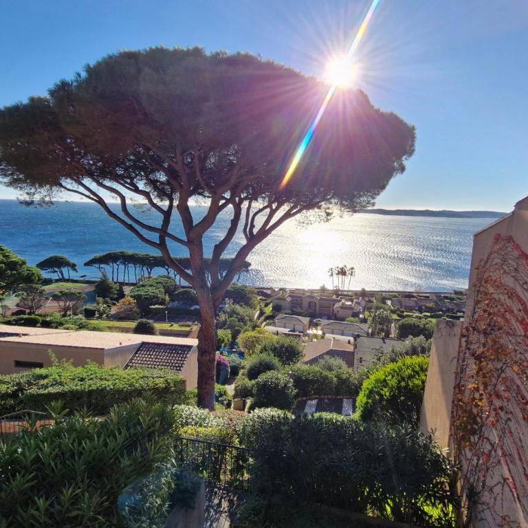 Triplex 4 pièces, vue mer, piscine, parking, animaux admis à Sainte-Maxime - FR-1-780-44 - Apartamento - 12