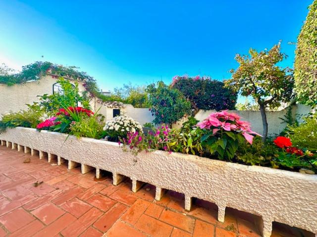 Hibiscus 69 - San Juan de Capistrano - Casa de 2 dormitorios - 72