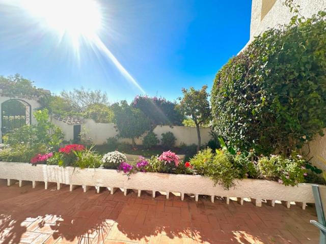 Hibiscus 69 - San Juan de Capistrano - Casa de 2 dormitorios - 73