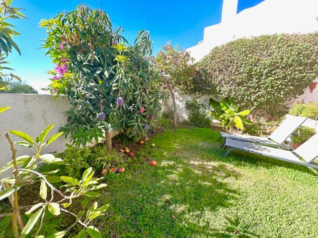 Hibiscus 69 - San Juan de Capistrano - Casa de 2 dormitorios - 75