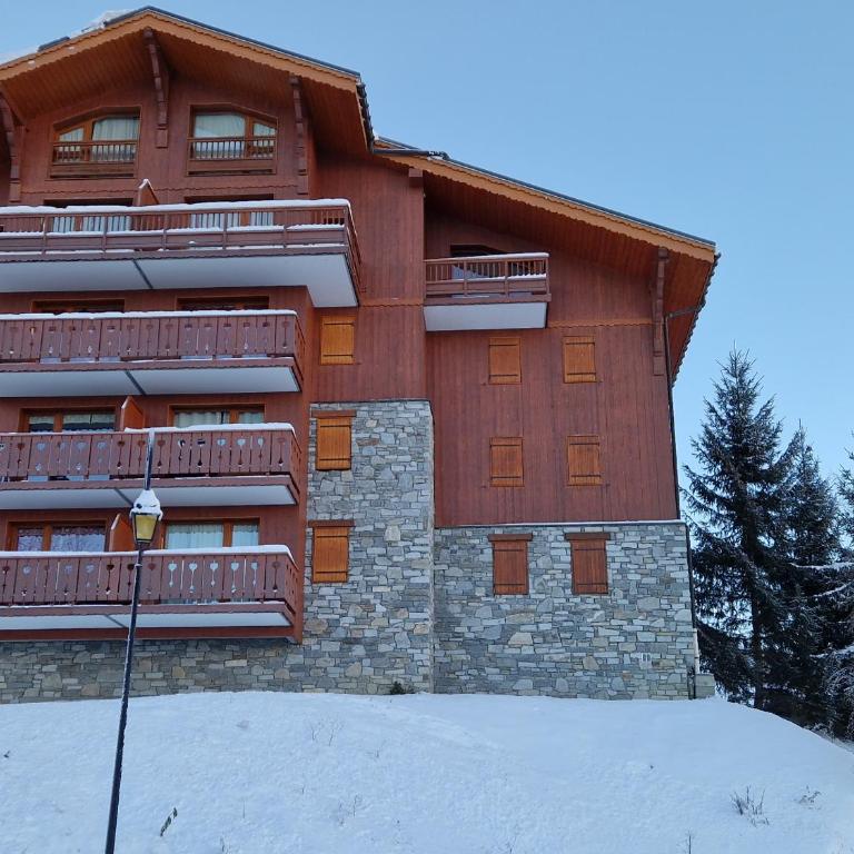 Charmant appartement 4 pers au pied des pistes, animaux admis - FR-1-755-36 - Appartement - 8