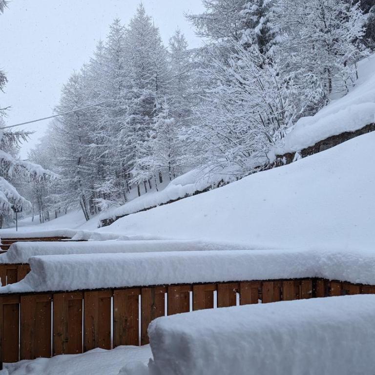 Apartments in the woods - Appartamento su 2 Livelli - 1