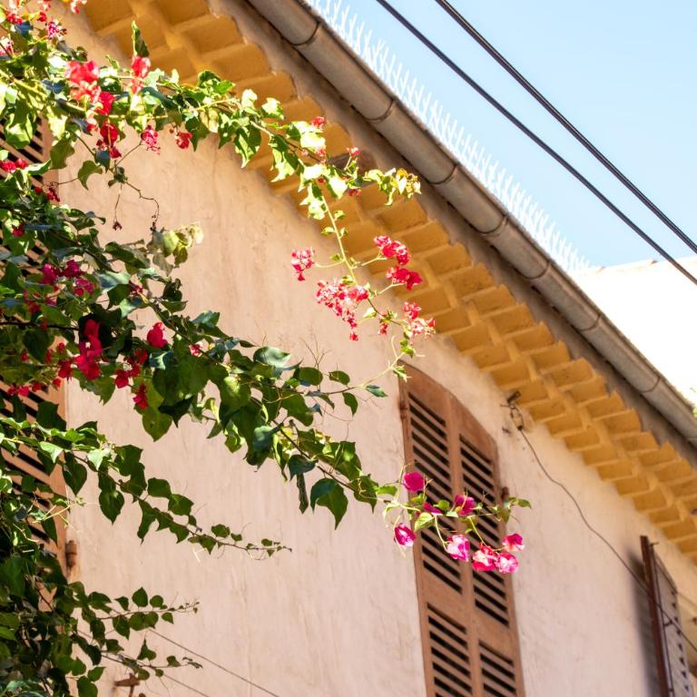 Appartement cosy Vieil Antibes - Appartement 2 Chambres - 10