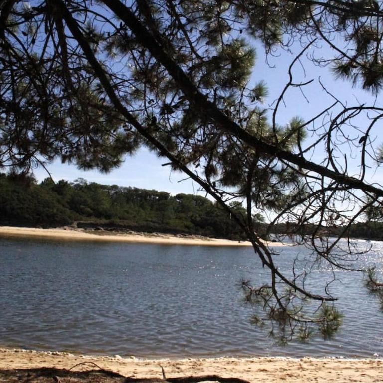 appartement soustons plage - Appartement 2 Chambres - 25