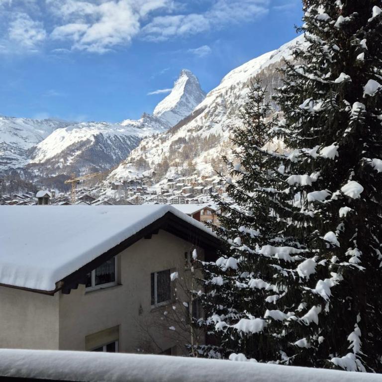 Apartment Snowball, Modern, cosy, Matterhorn views - Apartamento de 2 dormitorios - 2