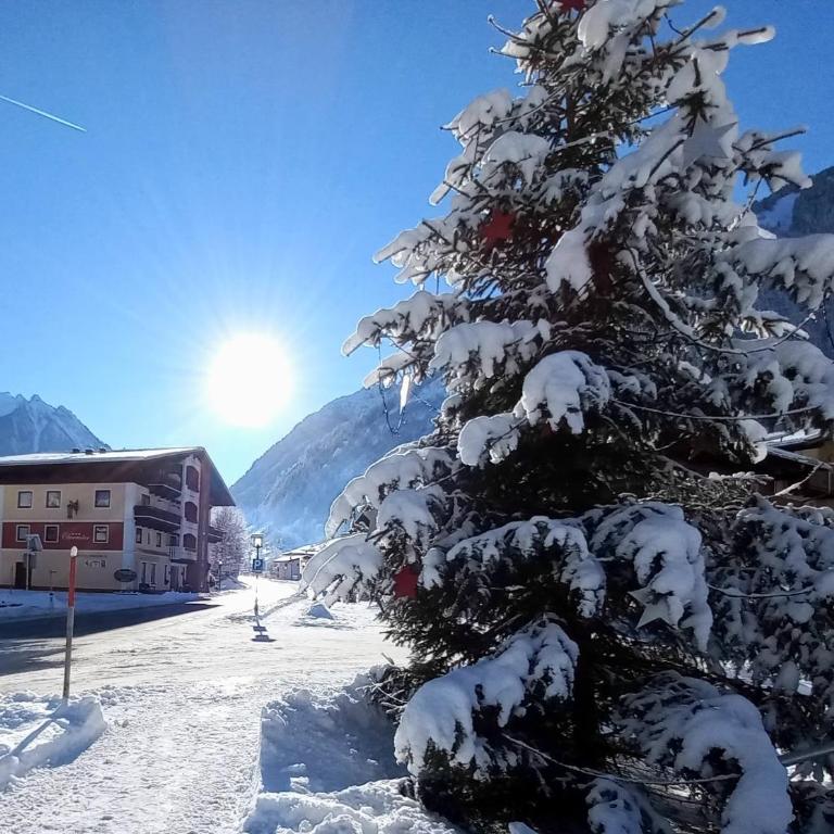 Oberreiter's Alpennest - Apartment mit Blick auf die Berge - 12