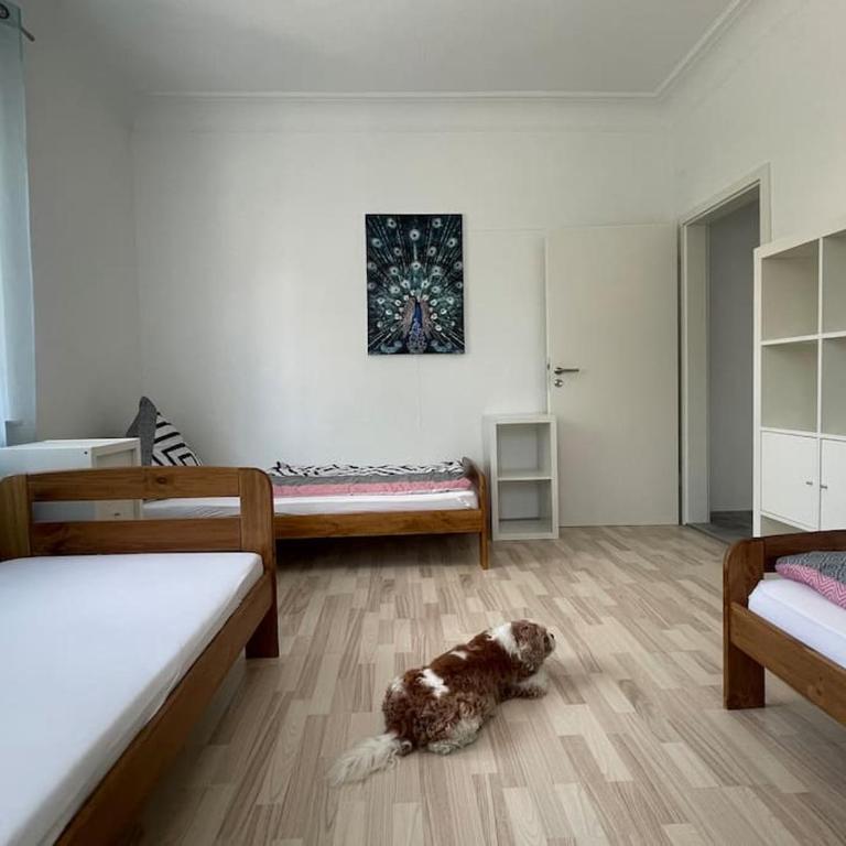 Apart Mittelstation Nord Buxacher Straße 23 mit bikerental - Apartment mit 1 Schlafzimmer - 10