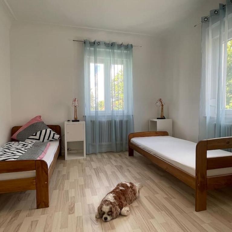 Apart Mittelstation Nord Buxacher Straße 23 mit bikerental - Apartment mit 1 Schlafzimmer - 16