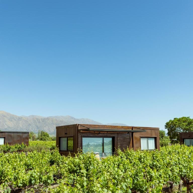 El Porvenir Wine Lodge - Deluxe - 13