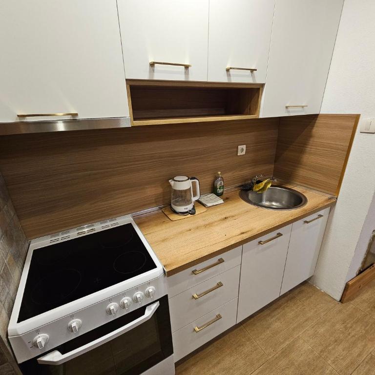 Apartments Tango - Apartman sa Pogledom na Vrt - 28
