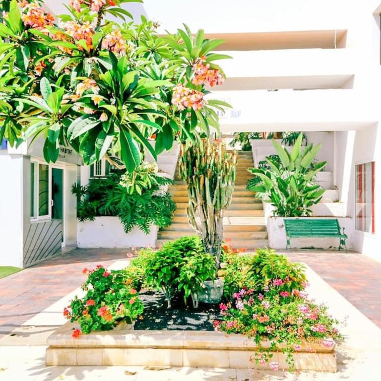 215 Azahara by Tenerife Rental & Sales - Apartamento de 2 dormitorios - 43