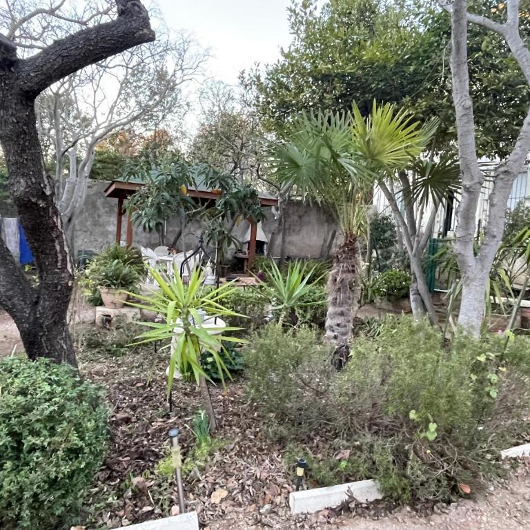 L Étoile du Sud - One-Bedroom Apartment with Garden - 11