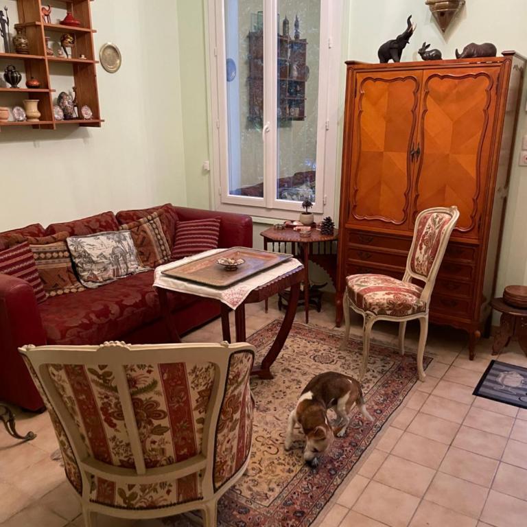 L Étoile du Sud - One-Bedroom Apartment with Garden - 19