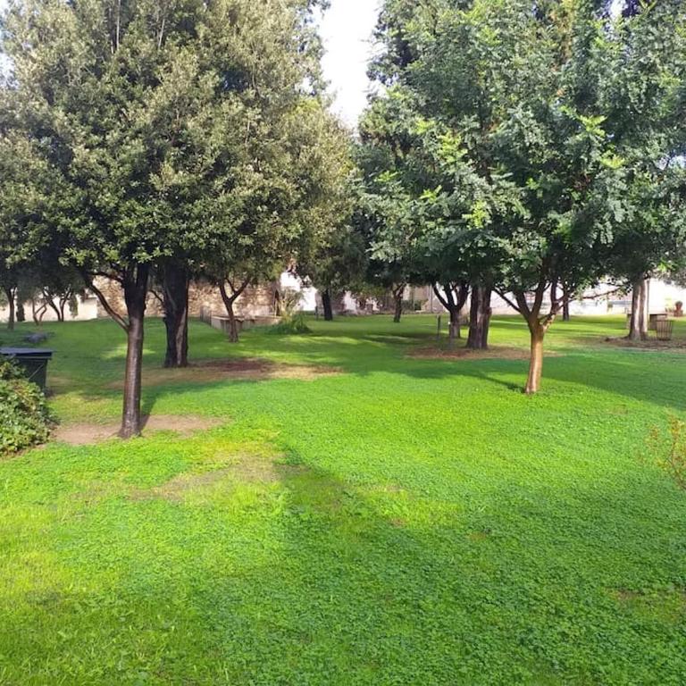 Villa Carboni - Appartamento con 1 Camera da Letto - 6