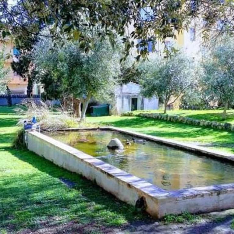 Villa Carboni - Appartamento con 1 Camera da Letto - 8