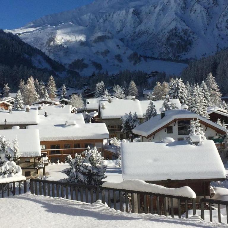 Vue Mont Blanc, balcon et parking privé - Apartment mit 1 Schlafzimmer - 22