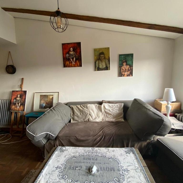 Charming penthouse nearby Ada Lake - Apartman sa 1 Spavaćom Sobom - 11