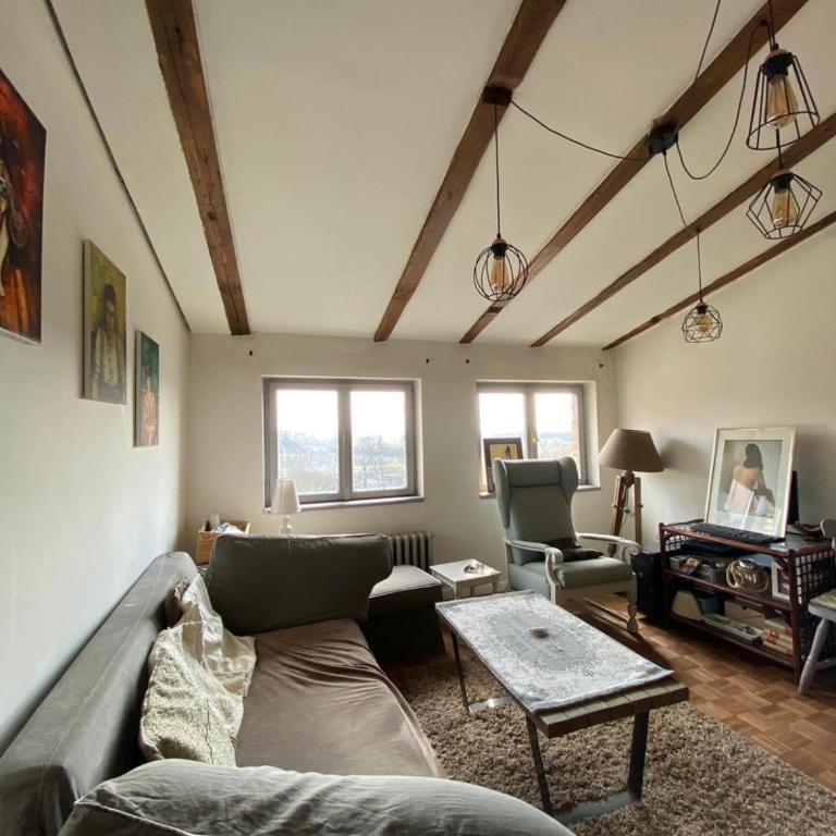 Charming penthouse nearby Ada Lake - Apartman sa 1 Spavaćom Sobom - 12