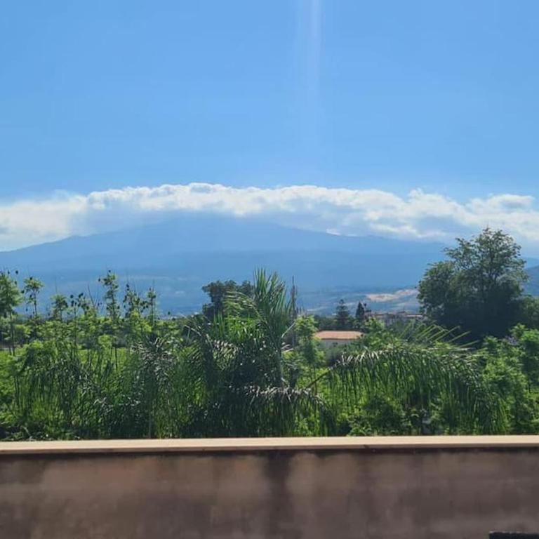 Villa Recanati - Villa - 10