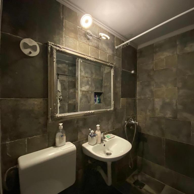 Charming penthouse nearby Ada Lake - Apartman sa 1 Spavaćom Sobom - 14