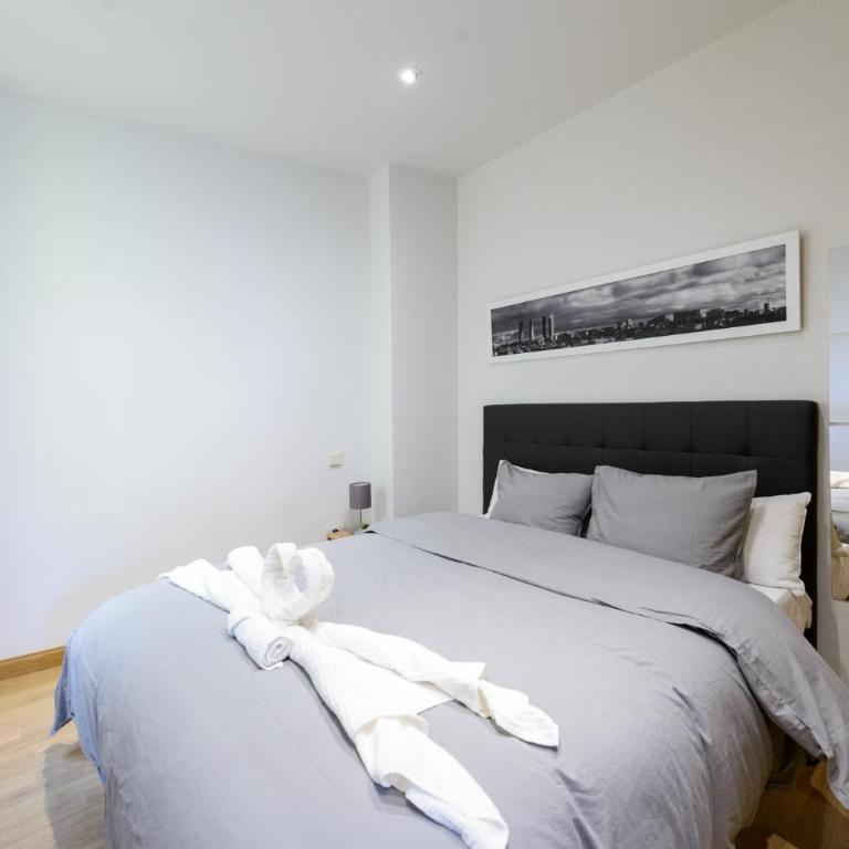 Amplio Piso en Madrid Centro con Vistas al Templo de Debod - Two-Bedroom Apartment - 7