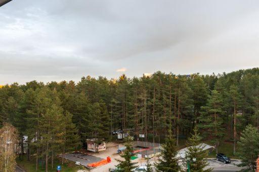 Anni apartments Zlatibor - Studio Apartman - 12