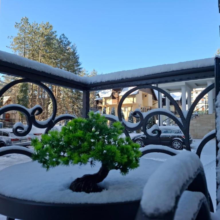 Monte Relax - Wellness Oase - Apartman sa 1 Spavaćom Sobom - 9