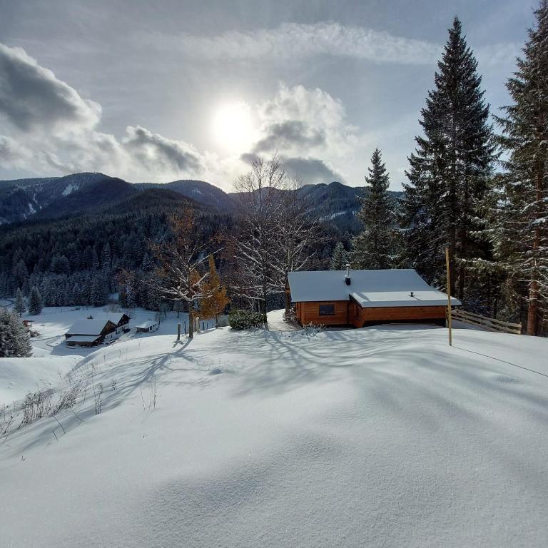 Hütte Neuhaus - Haus mit 1 Schlafzimmer - 22