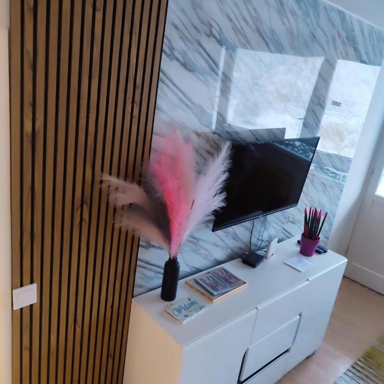 Apartman Behar Otoka Sarajevo - Apartman sa 1 Spavaćom Sobom - 5