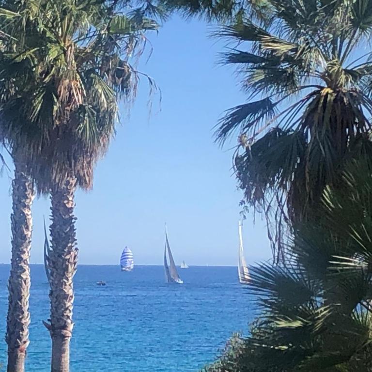 Cannes Terrace Beach Front & Sea view - Apartment mit Terrasse - 77