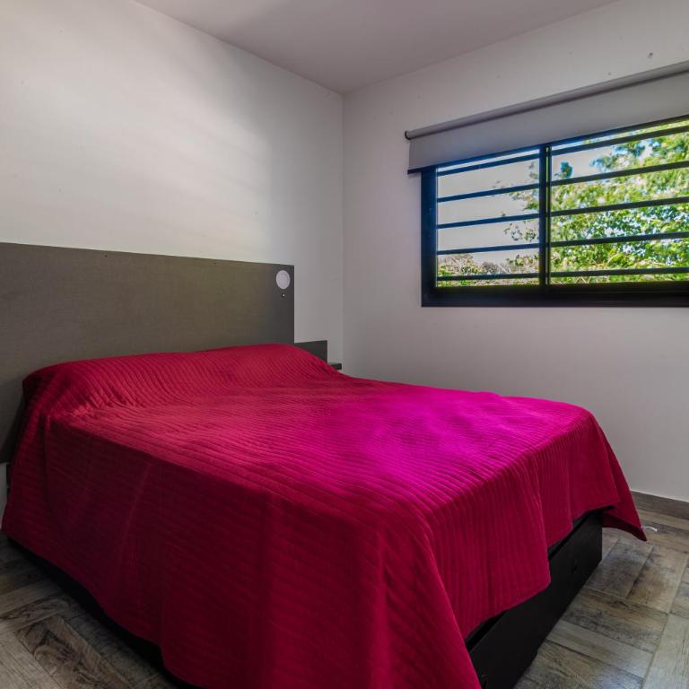 Tango Departamento - Apartamento - 2