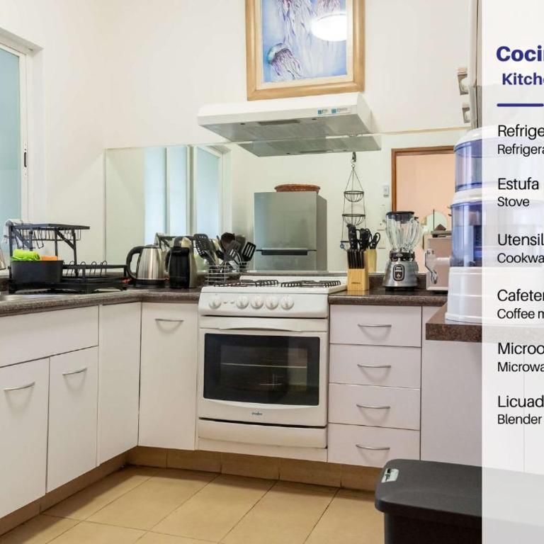 Nopal Apartments - Chapultepec - Apartment - 14