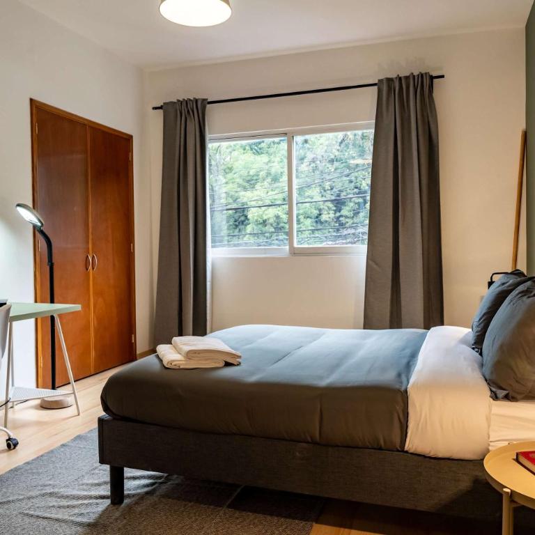 Nopal Apartments - Chapultepec - Apartment - 20