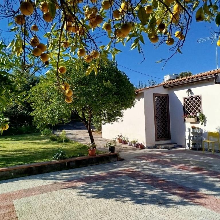 Ai tre desideri la casita - Casa con 1 Camera da Letto - 1